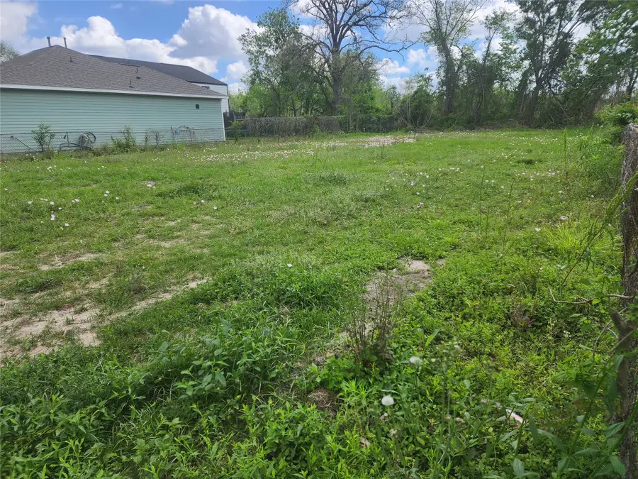 4316 Plaag Street, Houston, TX 77016 - #2