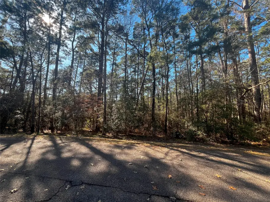 61 Sunny Hill Drive, Coldspring, TX 77331 - #2