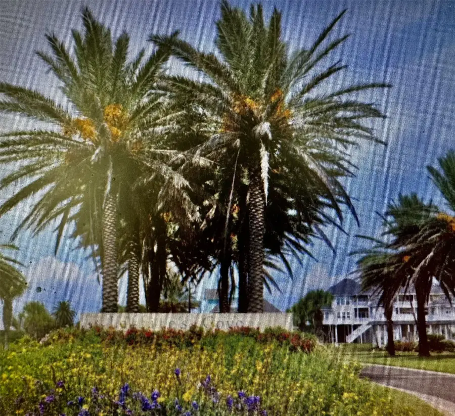 3619 Foremast Drive, Galveston, TX 77554 - #3