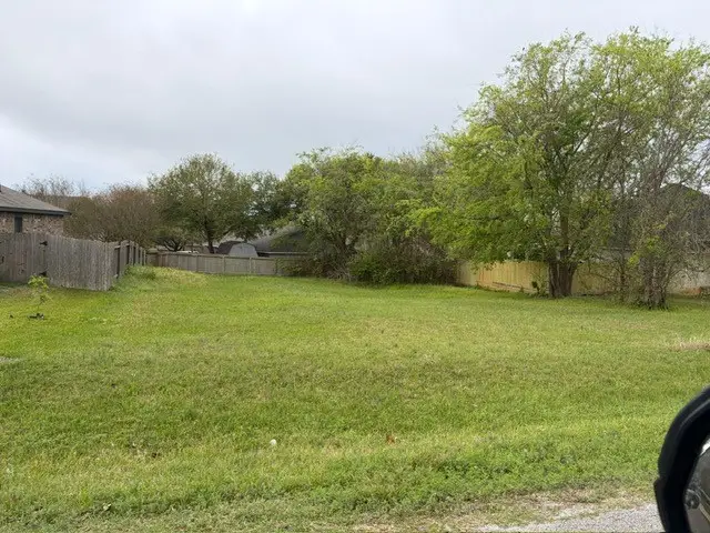 12471 Greenridge Drive Downs, Willis, TX 77318 - #3