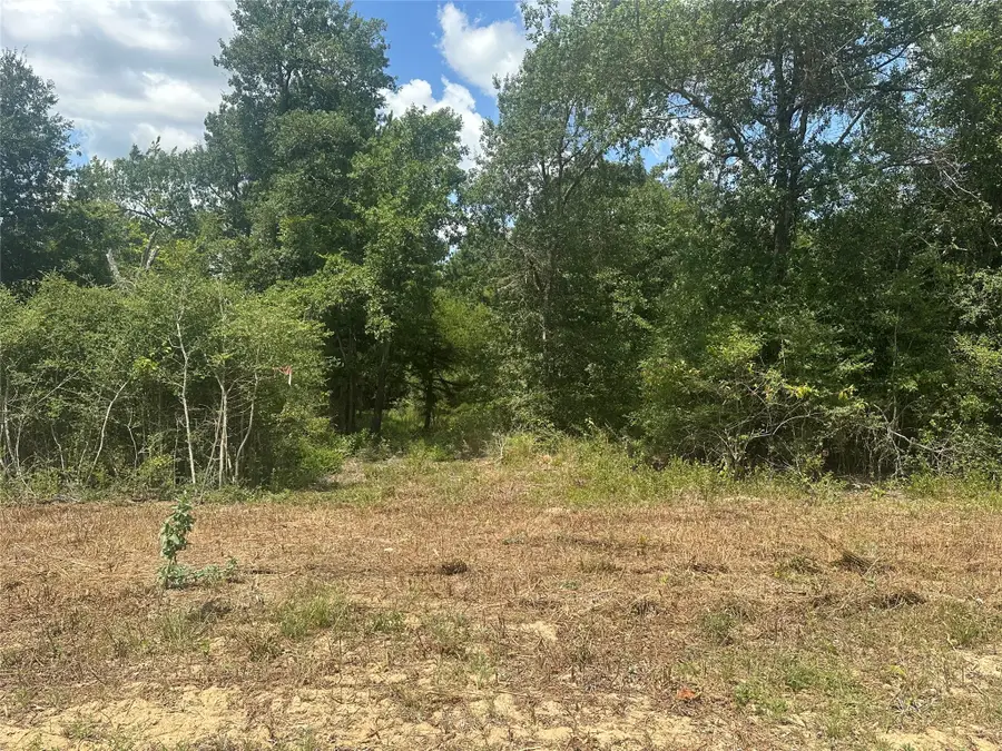 000 County Road 322, Jewett, TX 75846 - #3