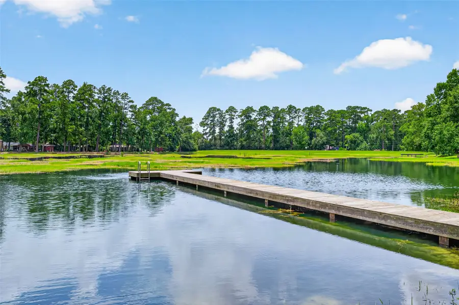 10063 Lake Shore Drive, Montgomery, TX 77316 - #2