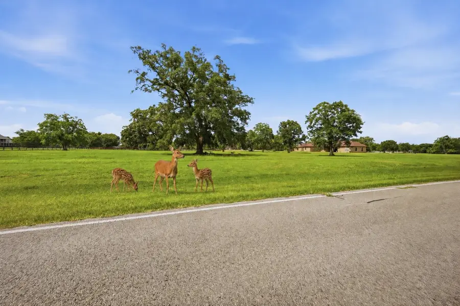 1011 W Fm 1462, Rosharon, TX 77583 - #2