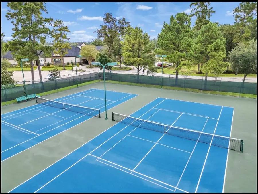 5310 Pine Wood Meadows Ln, Spring, TX 77386 - #3