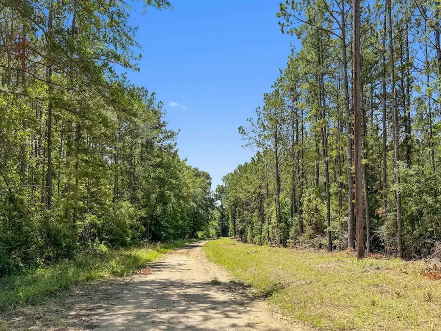 TBD Hickman Road, Burkeville, TX 75932 - #3