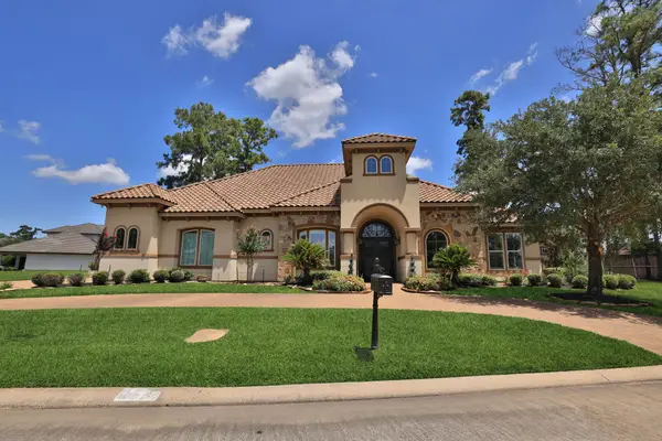 58 Shadow Creek Ridge Drive, Spring, TX 77389