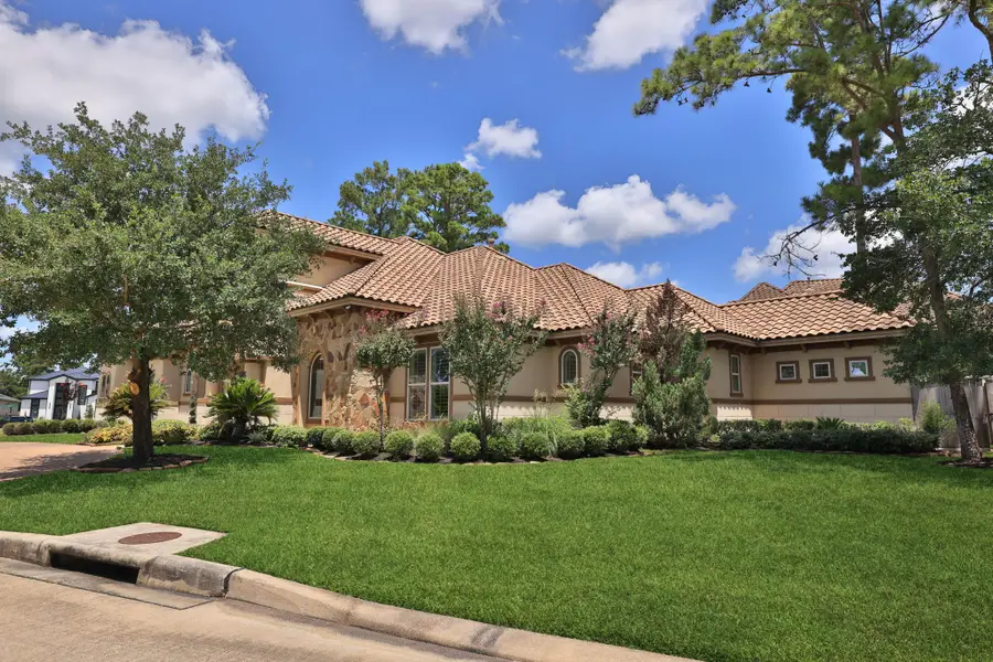 58 Shadow Creek Ridge Drive, Spring, TX 77389 - #3