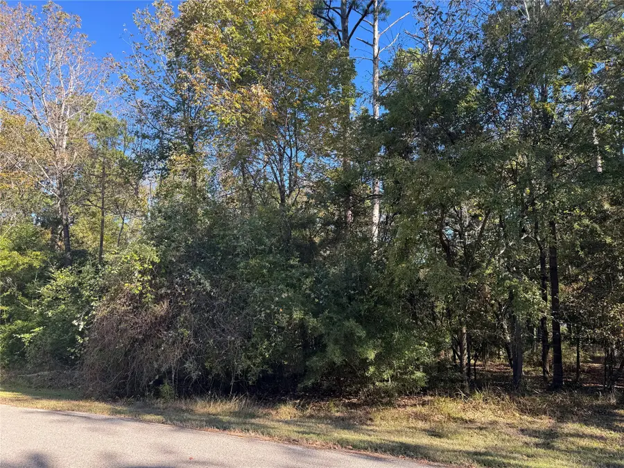 54 N Fairway Loop, Coldspring, TX 77331 - Image #2