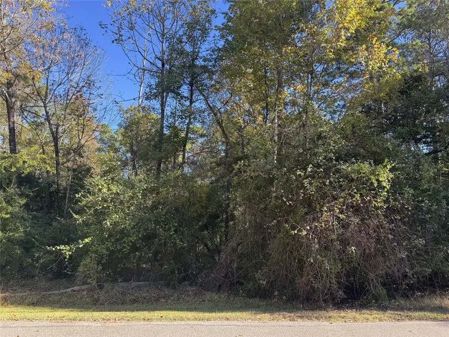 54 N Fairway Loop, Coldspring, TX 77331 - Image #3