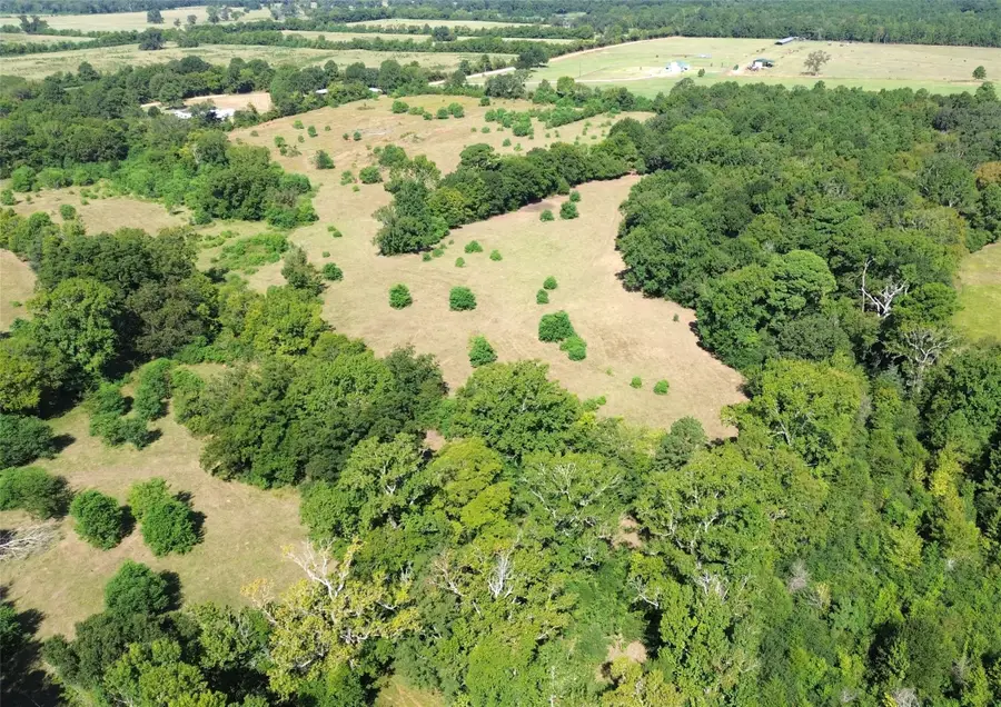 TBD E State Hwy 21, Crockett, TX 75835 - #3