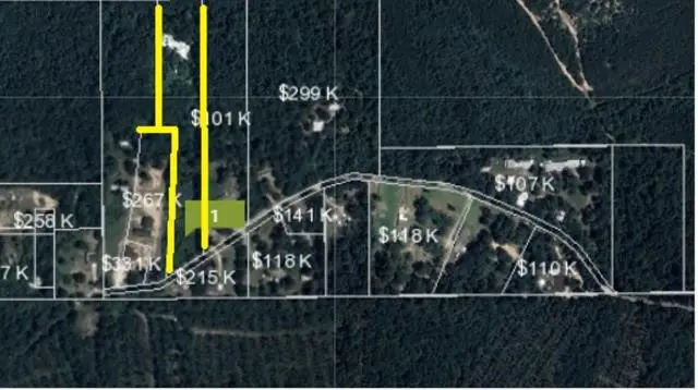 8715 Massey Lake Road, Silsbee, TX 77656 - #1