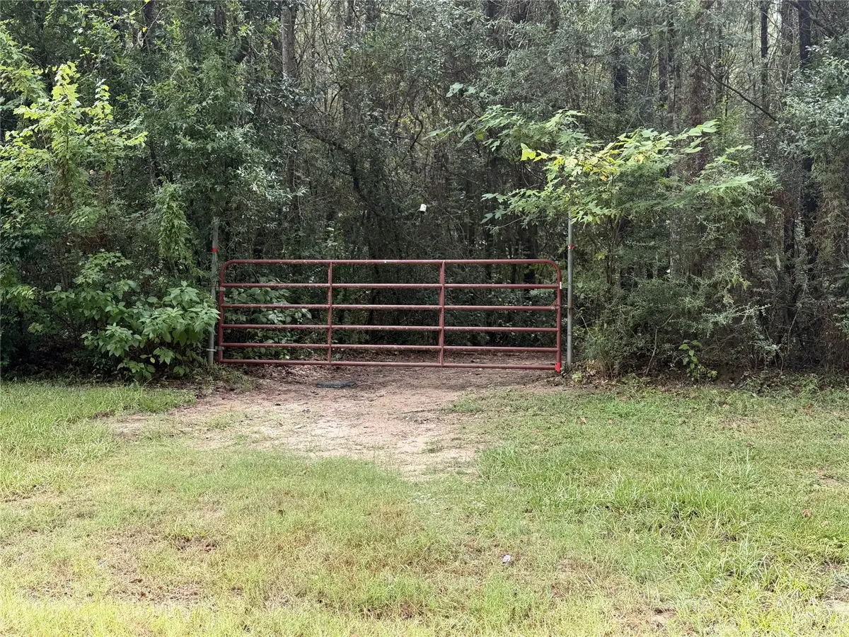 1810 County Road 4375, Spurger, TX 77660 - #1