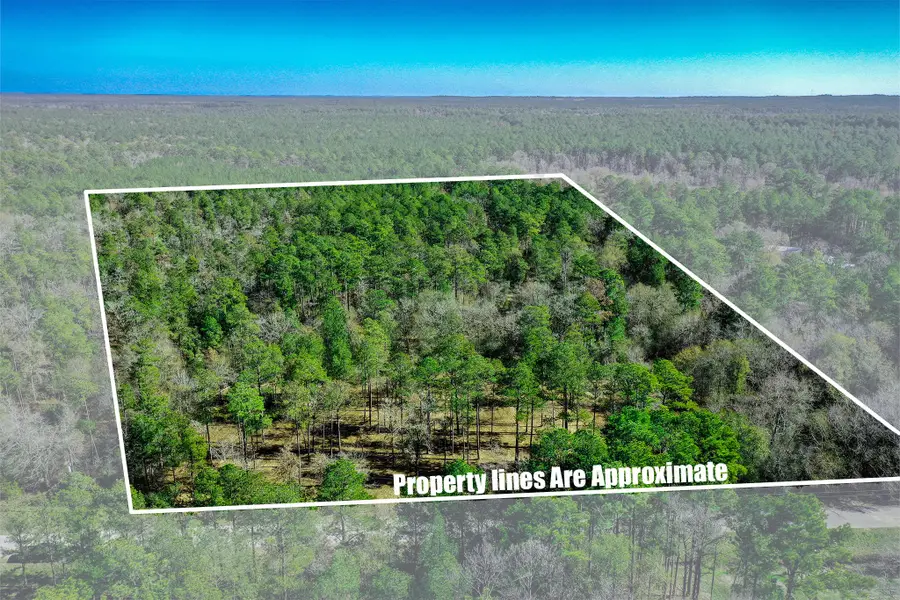 97 Utley Road, Huntsville, TX 77320 - #2