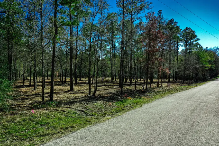 97 Utley Road, Huntsville, TX 77320 - #3