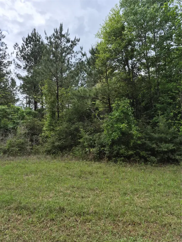 003 E Tbd Schwab Rd / Sh 146 Road, Livingston, TX 77351