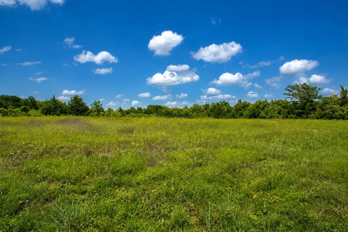 3827 Felder Road, Washington, TX 77880 - #1