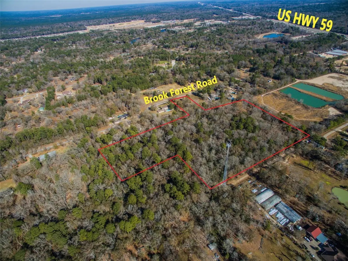 23204 Brook Forest, New Caney, TX 77357 - #1