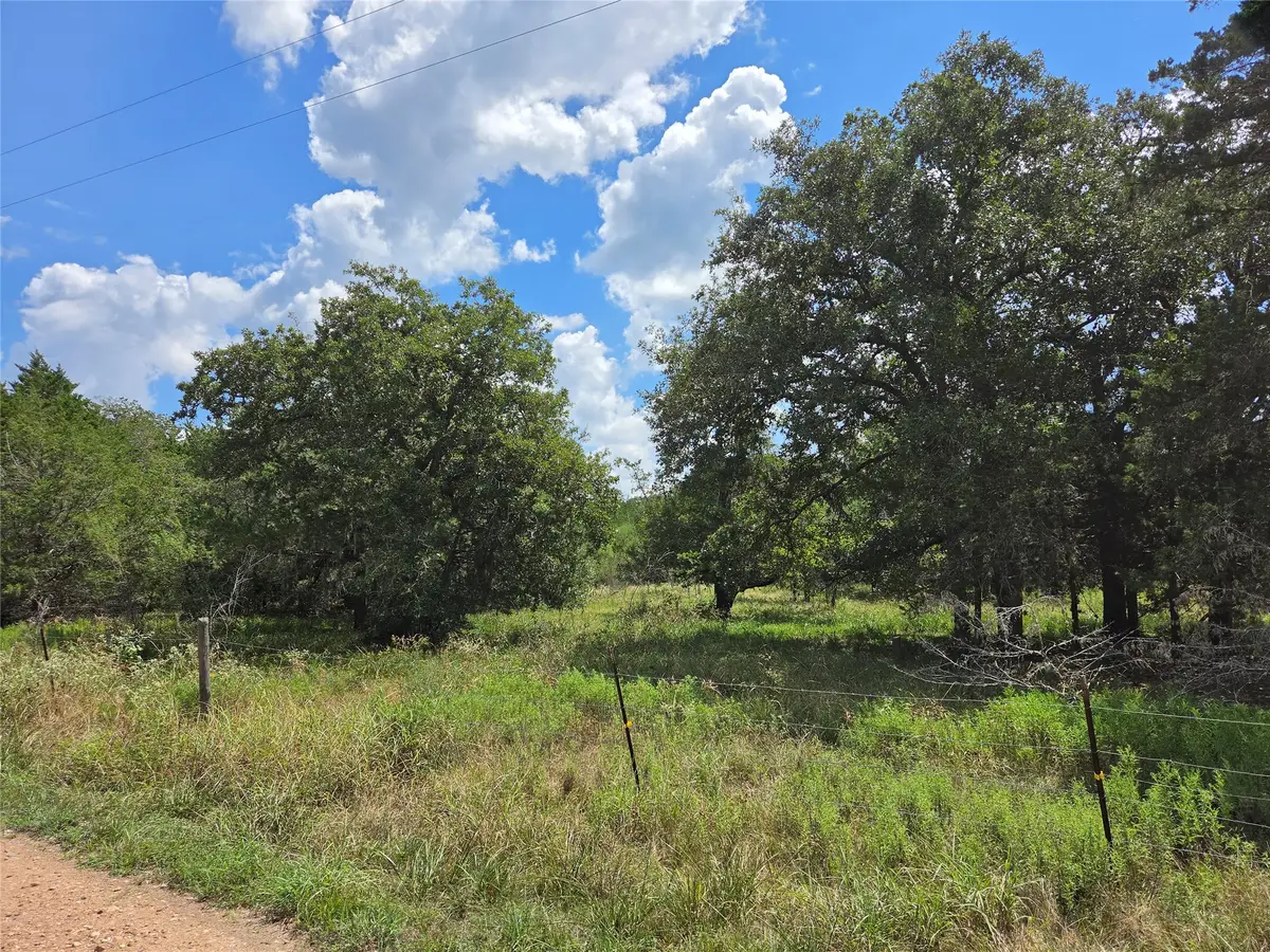 TBD Lot A Blue Bird Lane, Columbus, TX 78934 - #1