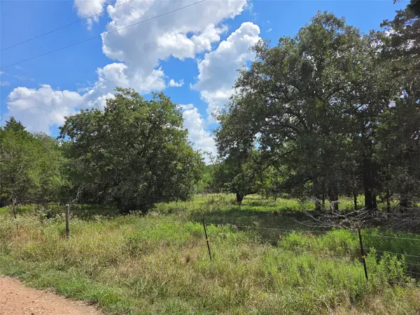 TBD Lot A Blue Bird Lane, Columbus, TX 78934
