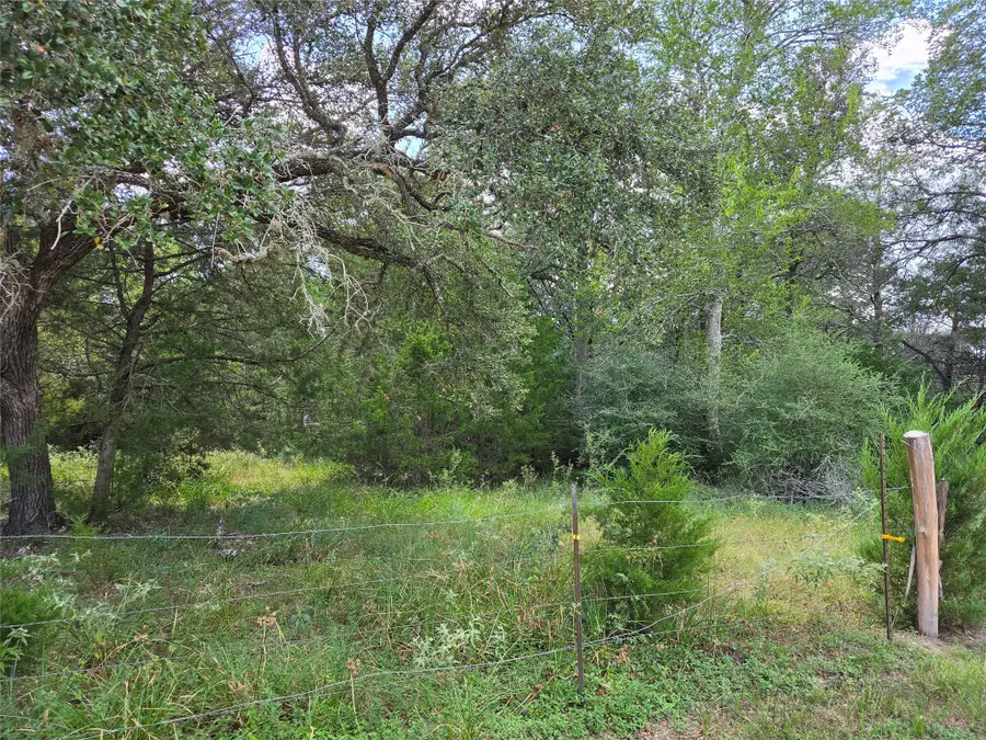 TBD Lot A Blue Bird Lane, Columbus, TX 78934 - #2