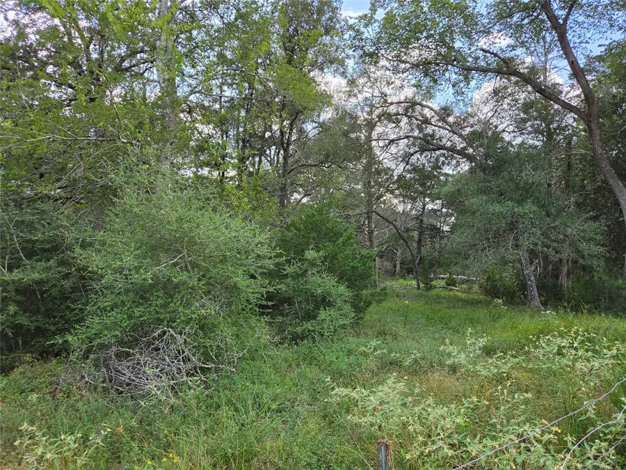 TBD Lot A Blue Bird Lane, Columbus, TX 78934 - #3