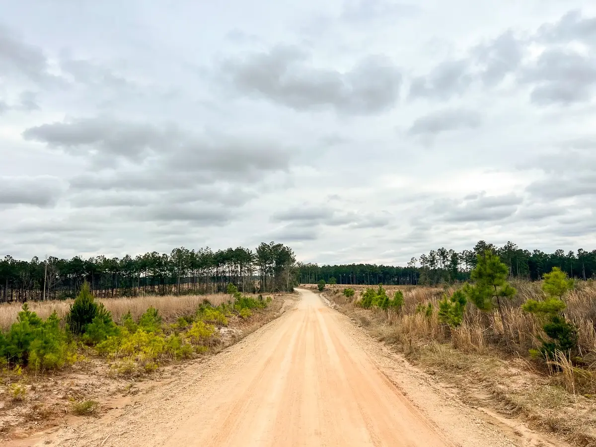 5 Hardin Hideout Road, Moscow, TX 75960 - #1