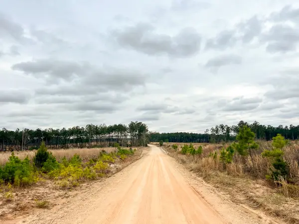 5 Hardin Hideout Road, Moscow, TX 75960