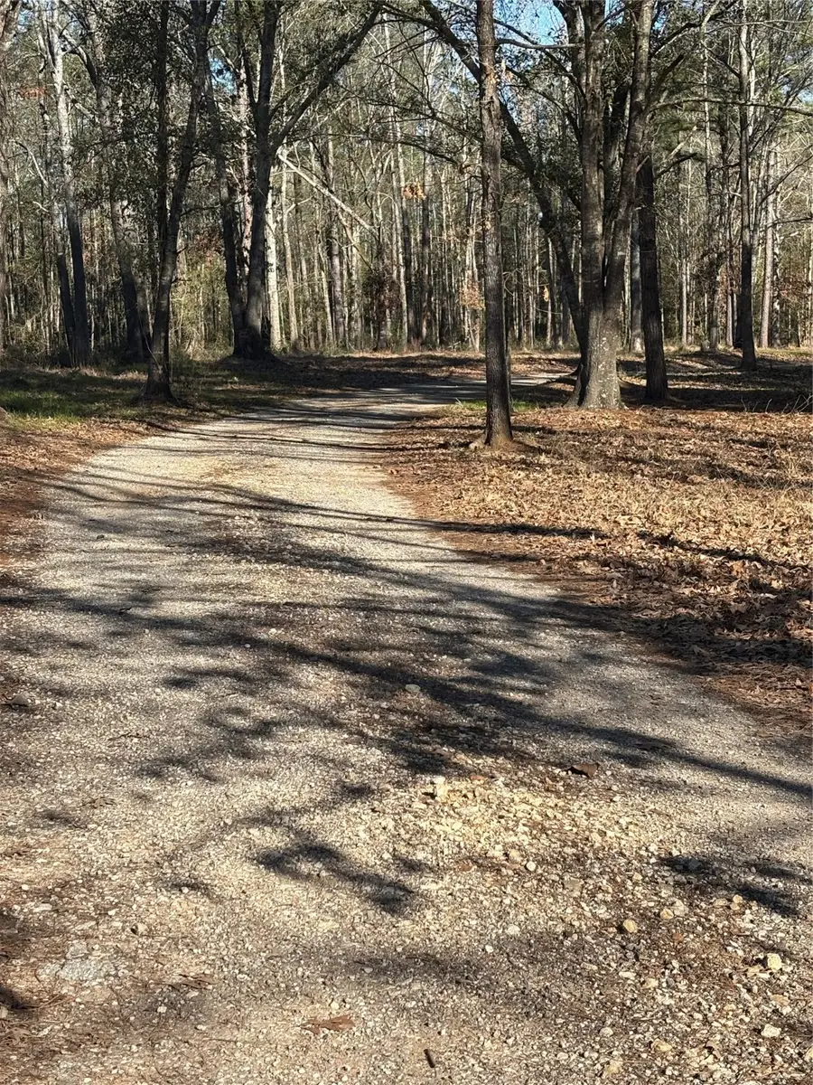 765 Fm 2781, Lovelady, TX 75851 - #3