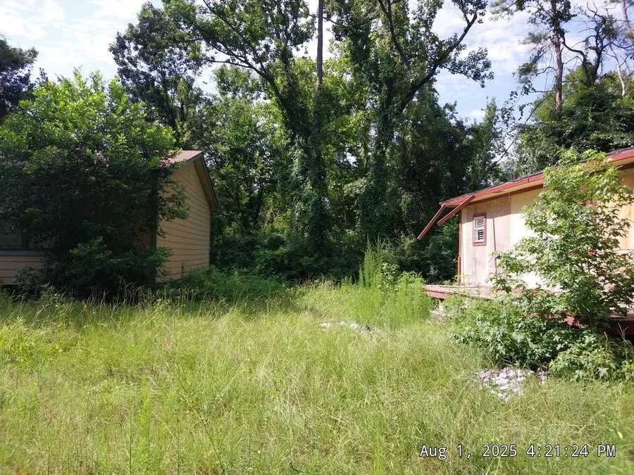 17505 S Lakeview Drive, Splendora, TX 77372 - Image #3