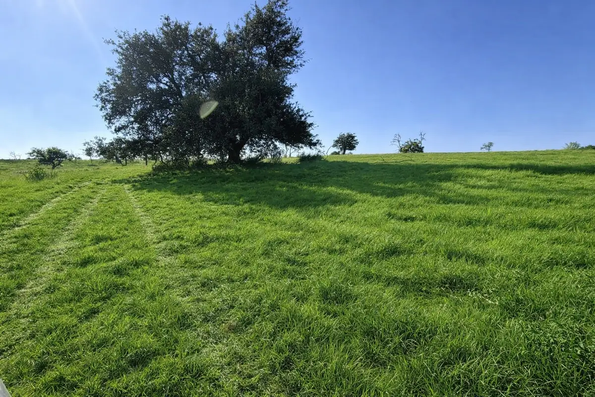 LT 3 Badger Ridge Road, Fredericksburg, TX 78624 - #1