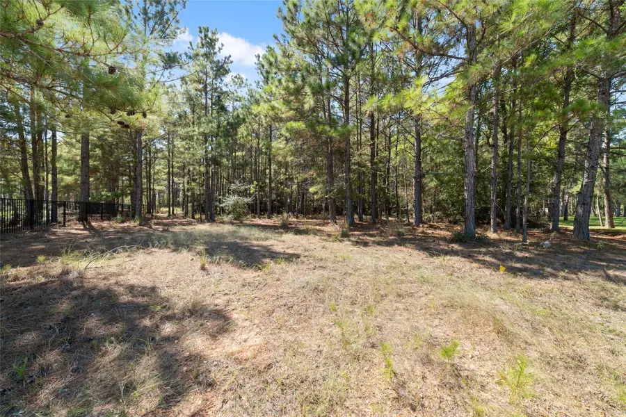 0 Ridgelake Court, Montgomery, TX 77316 - #2