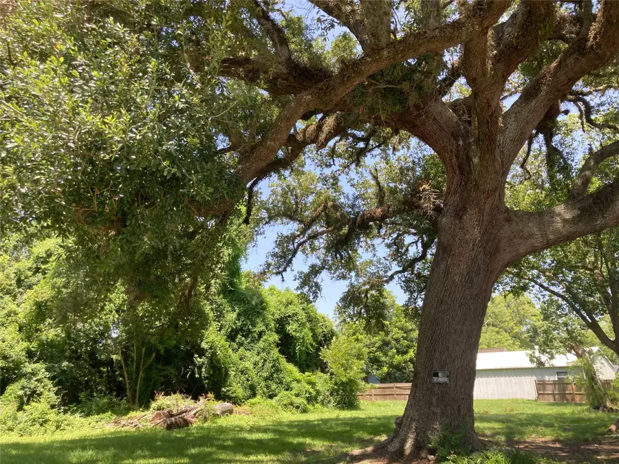 125 Shady Lane, West Columbia, TX 77486 - #3