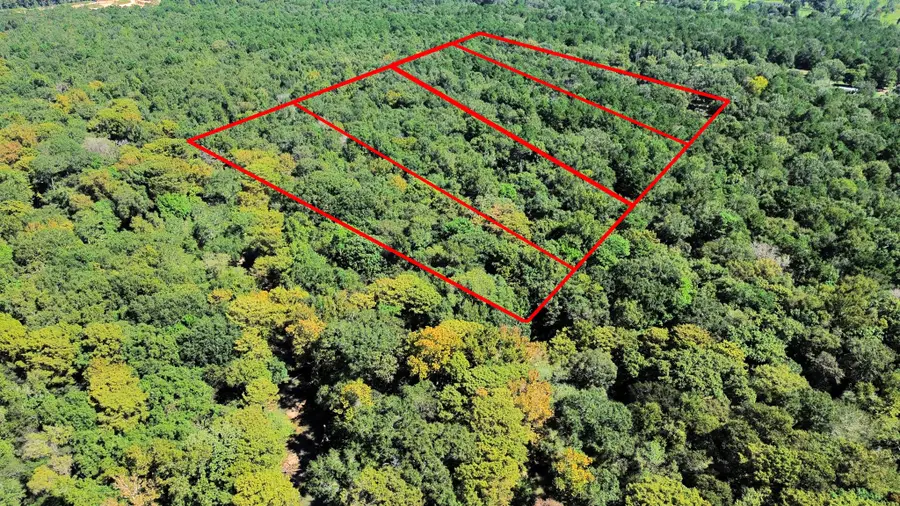 00 County Road 3709, Splendora, TX 77372 - #2