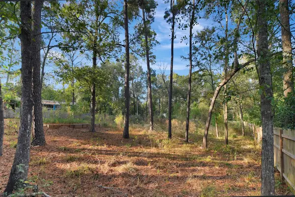 1112 Columbia River Drive, Conroe, TX 77316