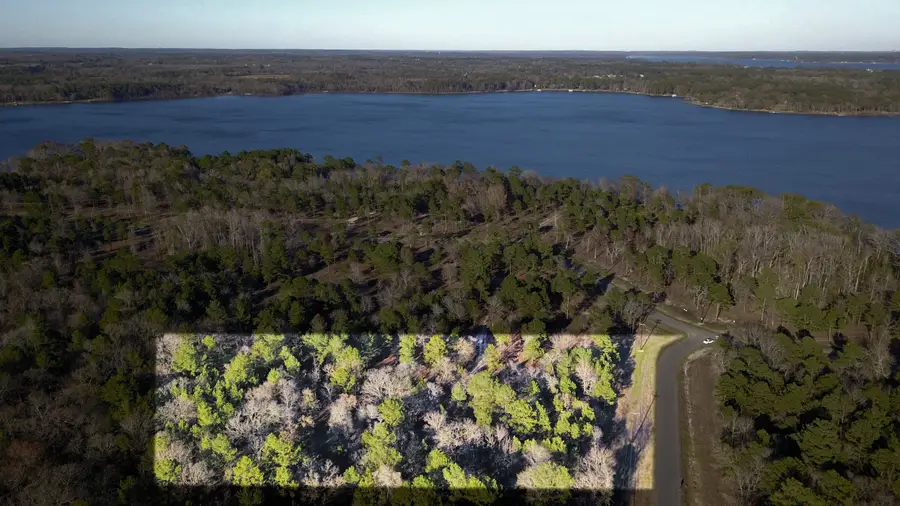 3729 Pine Wood Way, Larue, TX 75770 - Image #2