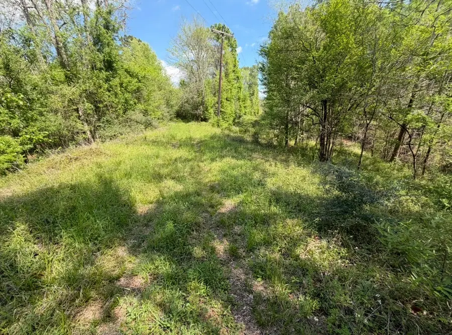 7571 County Road 2252, Cleveland, TX 77327 - #2