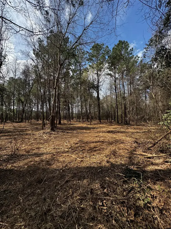 TBD Old Israel, Livingston, TX 77351