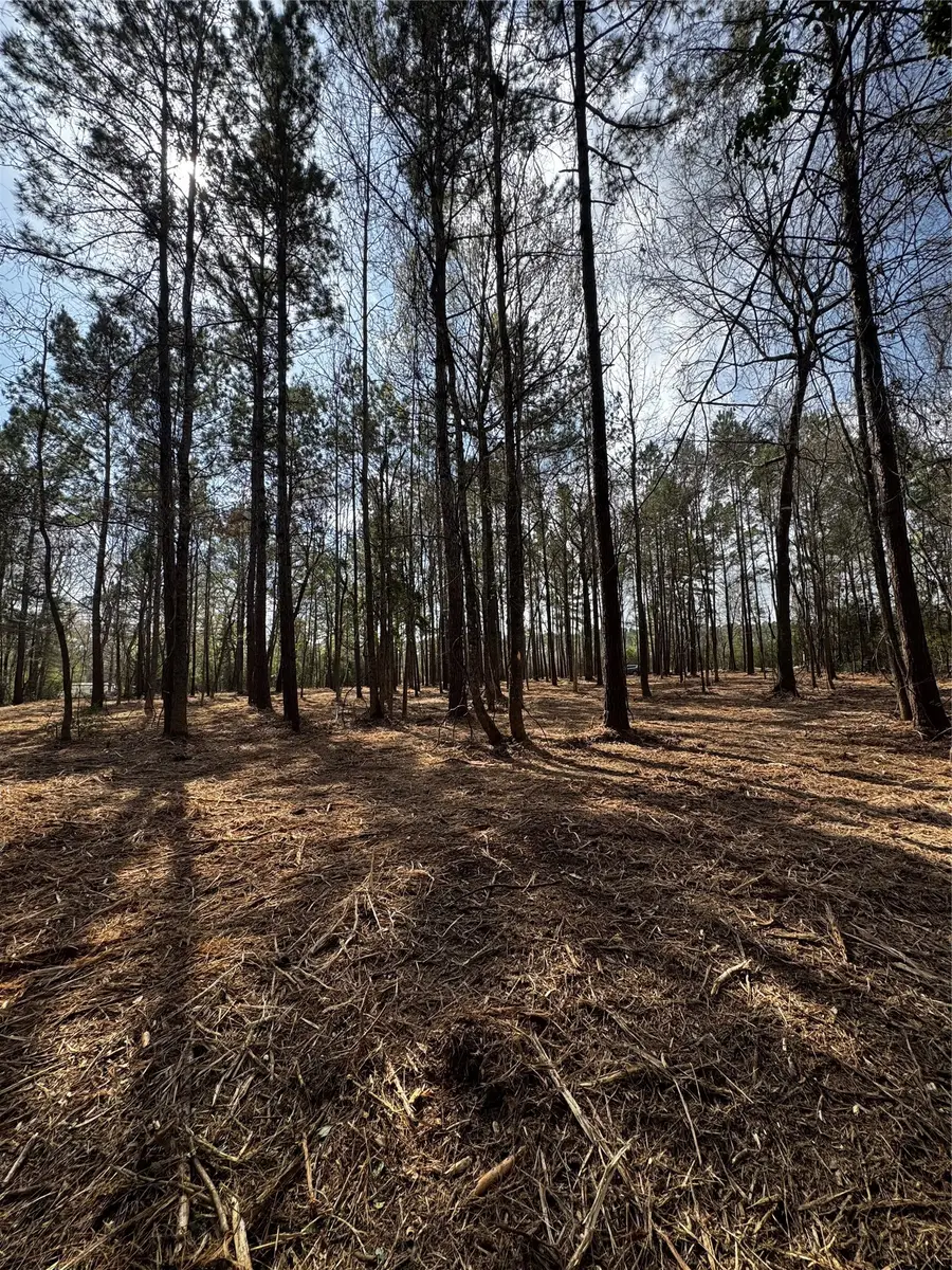 TBD Old Israel, Livingston, TX 77351 - #2