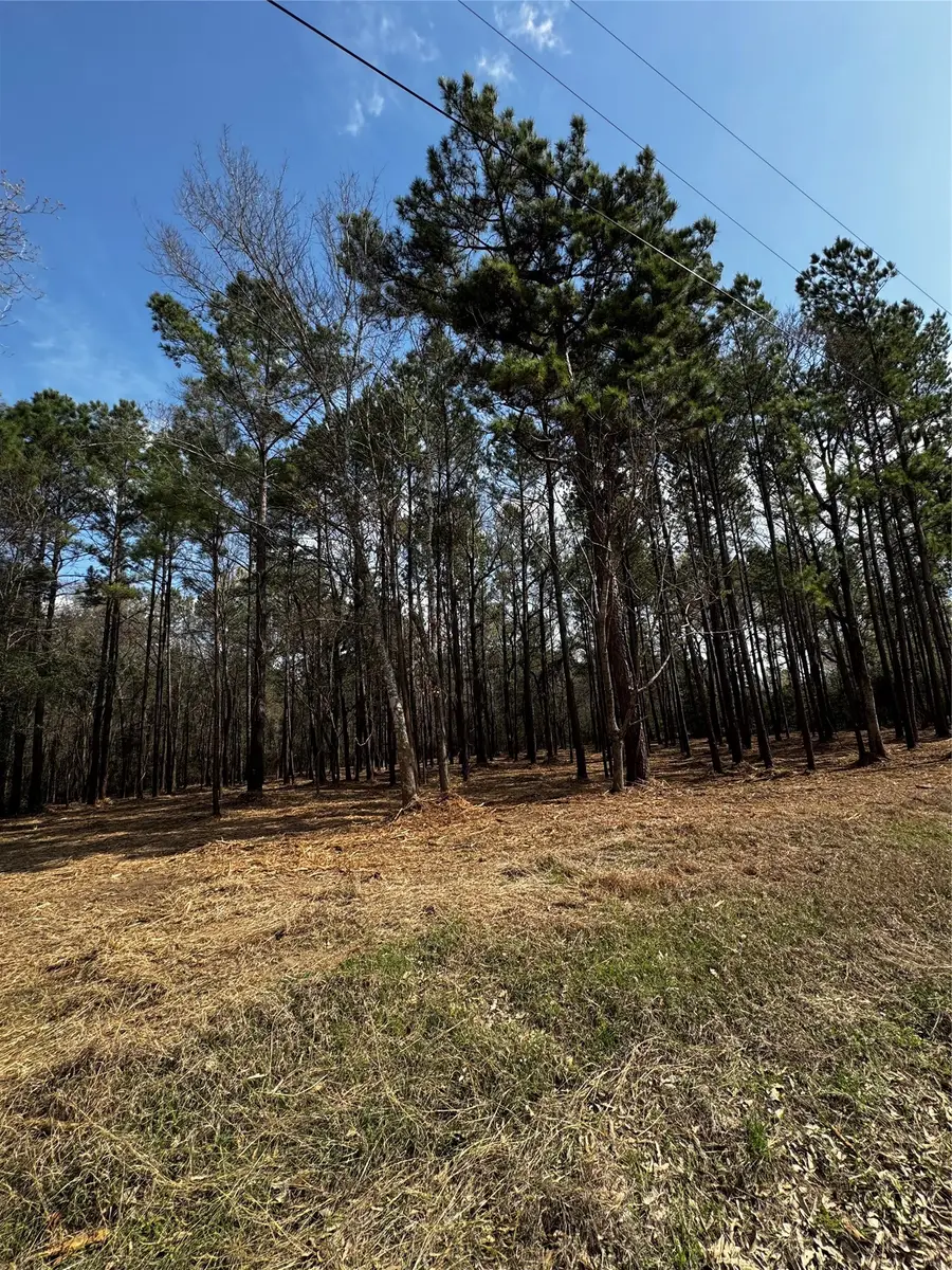 TBD Old Israel, Livingston, TX 77351 - #3