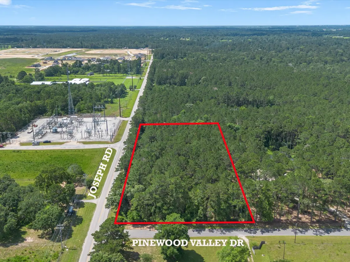 23717 Pinewood Valley Drive, Hockley, TX 77447 - #1