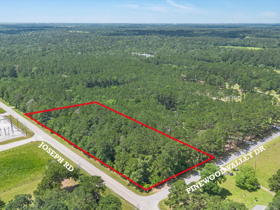 23717 Pinewood Valley Drive, Hockley, TX 77447 - #2