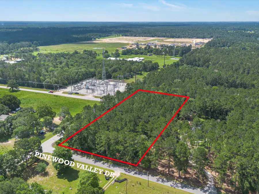 23717 Pinewood Valley Drive, Hockley, TX 77447 - #3