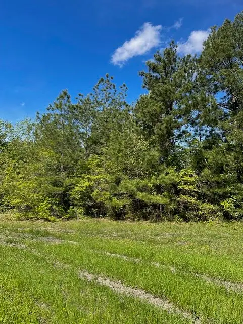 8763 Fm 356, Trinity, TX 75862 - #3