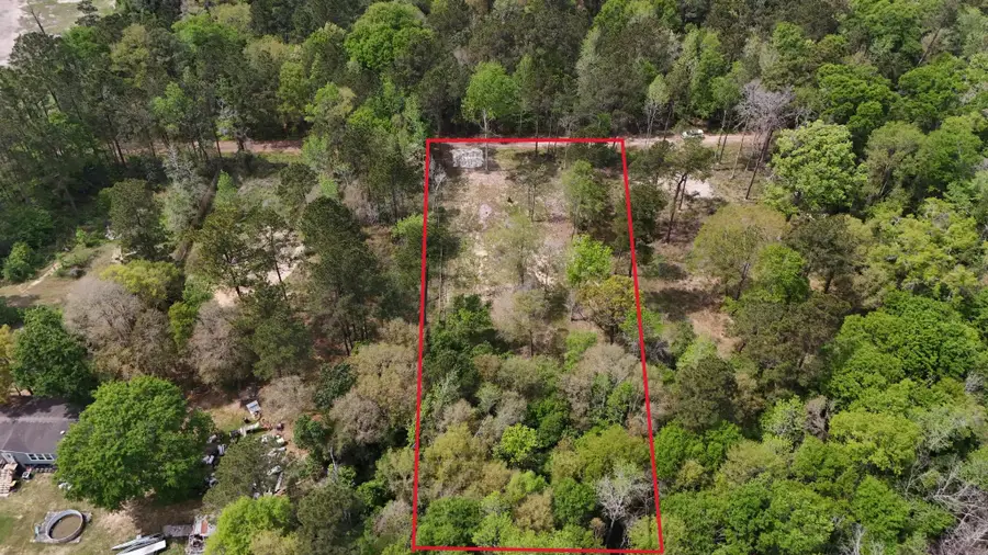 19017 Lincoln Street, New Caney, TX 77357 - #2