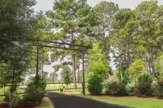 495 Everitt Road, Cleveland, TX 77328 - #1