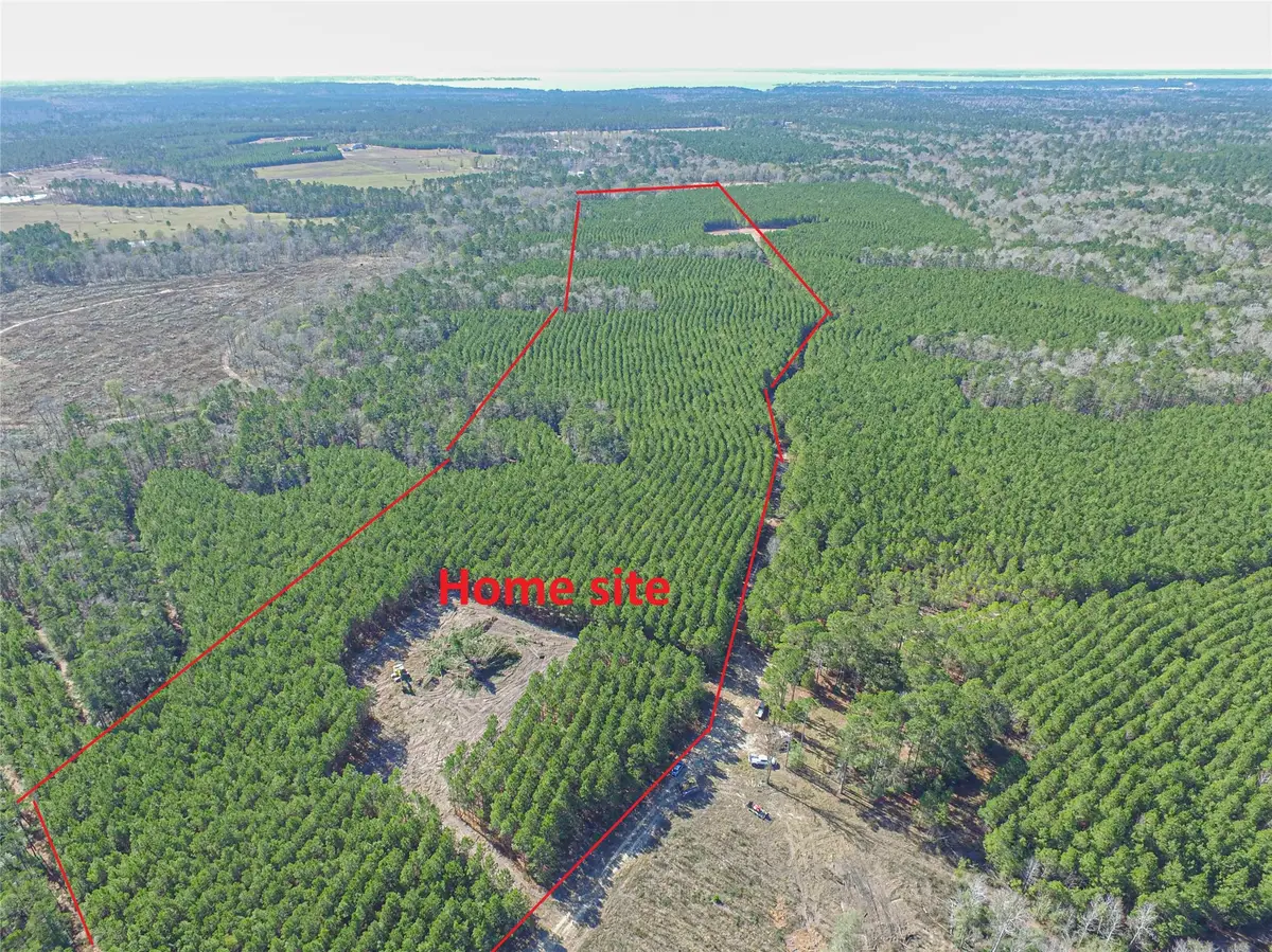 Tbd Sandydale Lane, Livingston, TX 77351 - #1