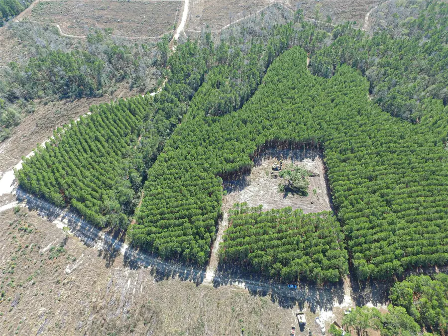 Tbd Sandydale Lane, Livingston, TX 77351 - #2