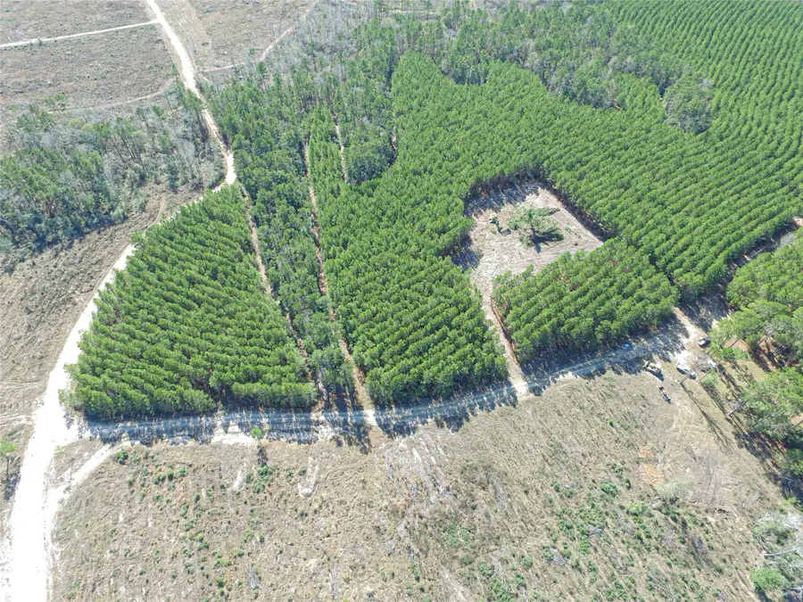 Tbd Sandydale Lane, Livingston, TX 77351 - #3