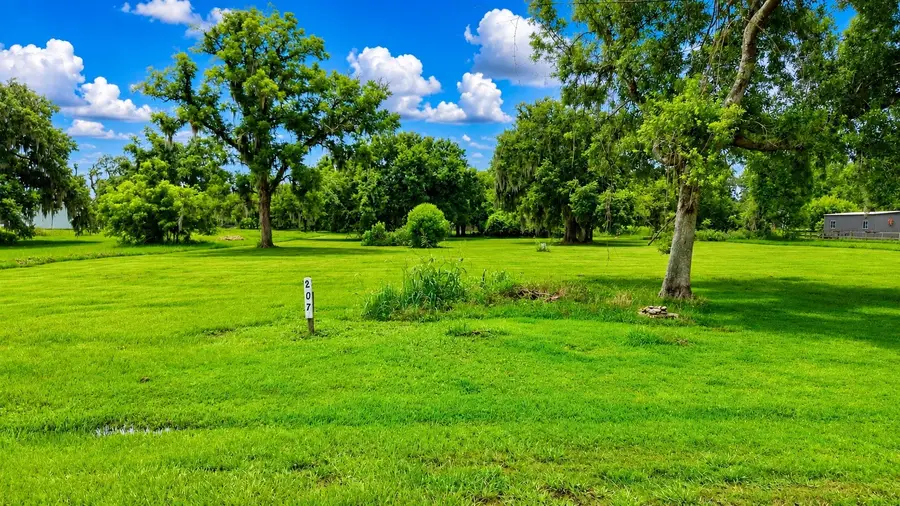 220 Stage Coach Trail, Angleton, TX 77515 - #3