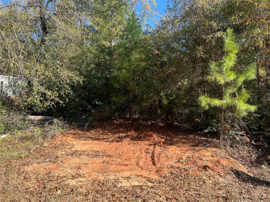 126 Moonlite Drive, Livingston, TX 77351 - Image #2